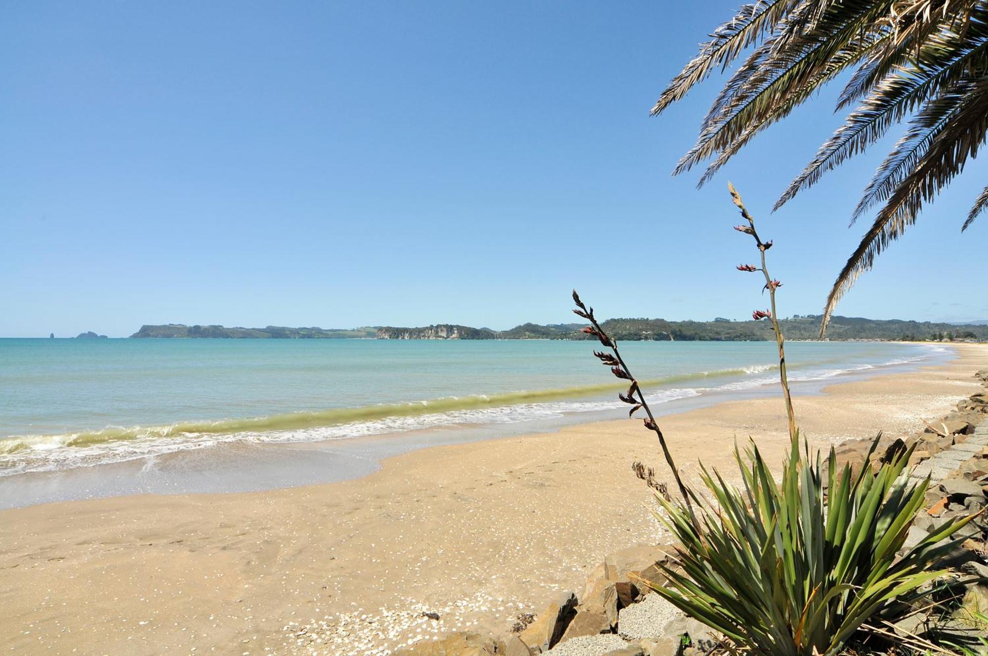 Whitianga Campground Bagian luar foto