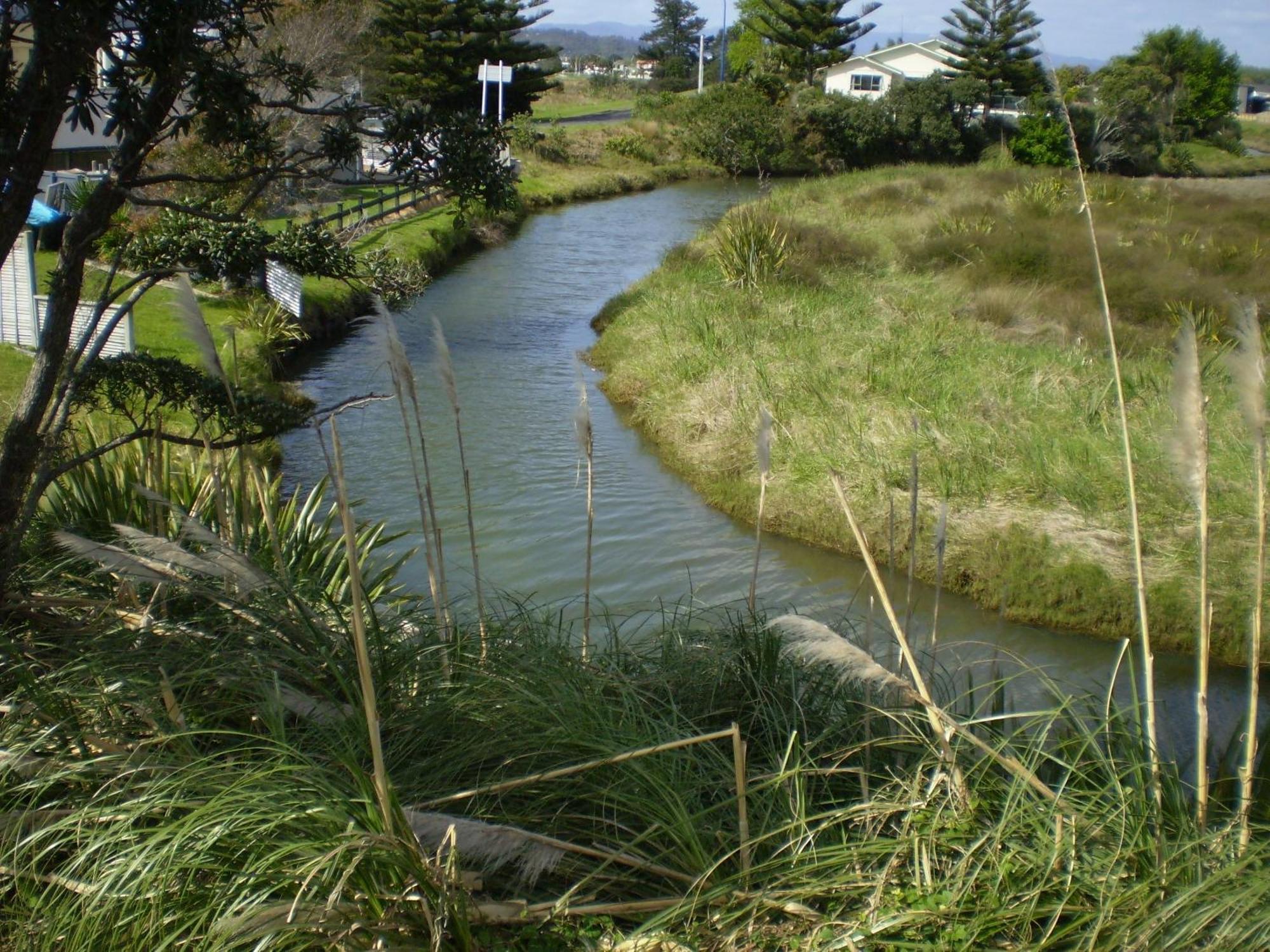 Whitianga Campground Bagian luar foto