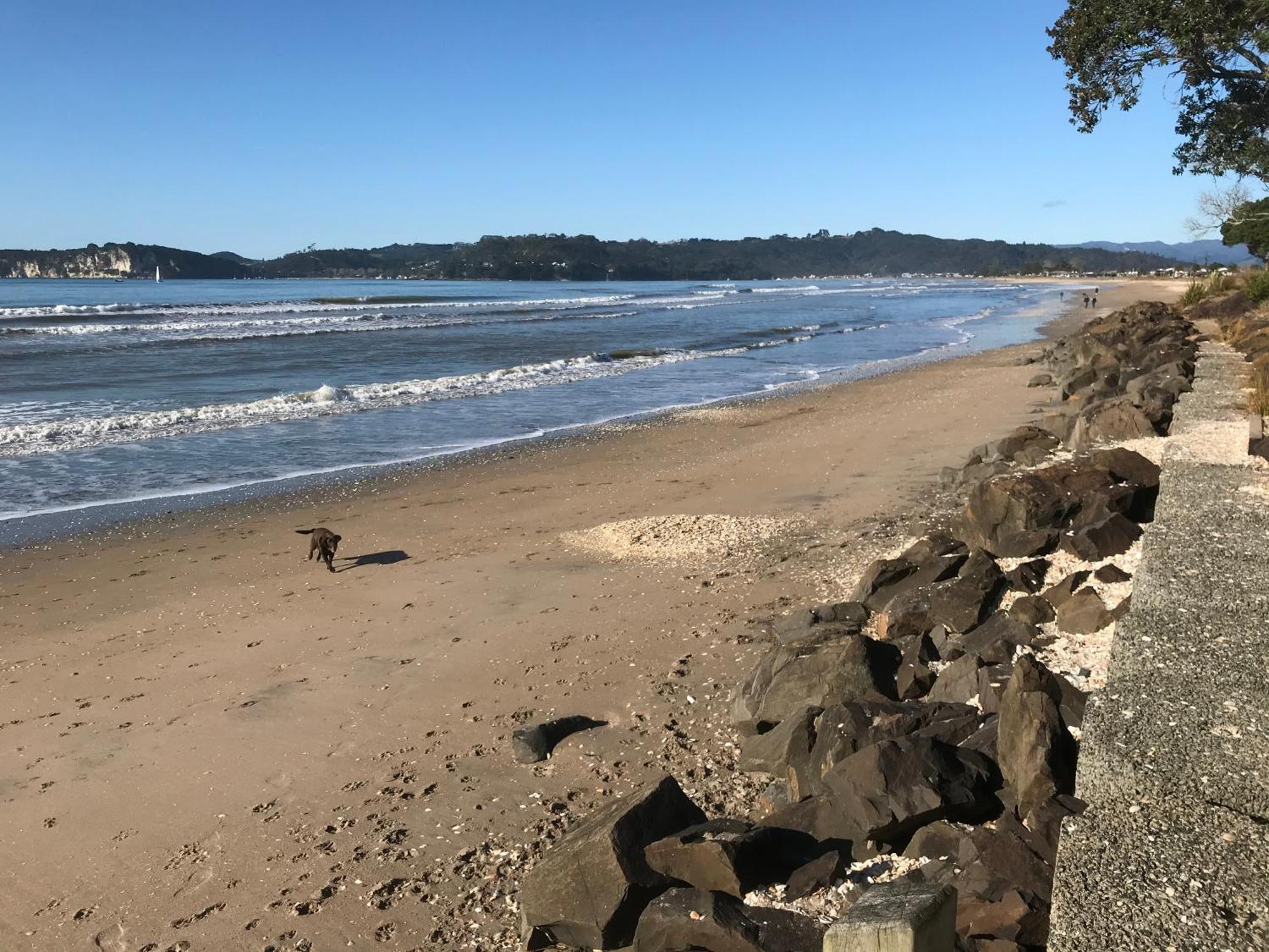 Whitianga Campground Bagian luar foto